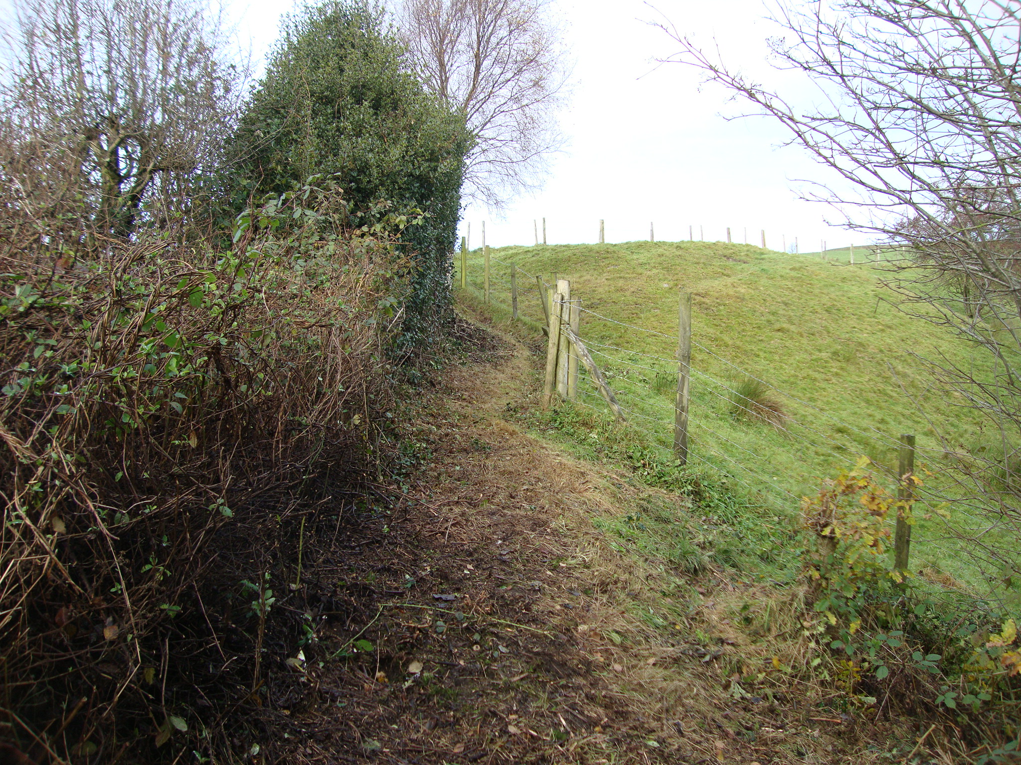 Wilpshire Glen Path after improvement